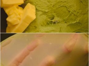 将除黄油外的面团材料加入厨师机搅拌桶，开启1档聚成团后转3档揉面至较光滑状态，加入软化的黄油。