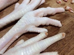 鸡脚要帮它修修指甲，人家也要美美哒