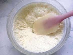 发酵至表面有许多小泡泡，内部呈现丰富的蜂窝状时就可以使用了，这里需要提醒的是，波兰种发酵看状态不看时间，我说的时间只能参考。