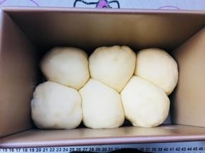 6、收口朝下，将6个包好奶酪丁的面团错开摆放在吐司盒中。进行二发