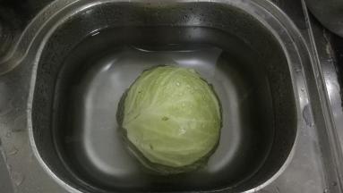 包菜洗净