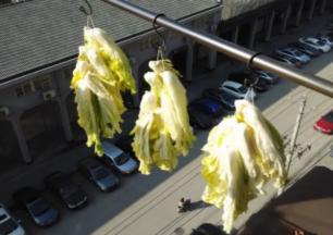 提前准备好。每一颗从根部切开一口子，用手对开撕成两半。用粗棉线串起，在阳光下晾晒至完全疲软。