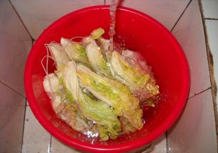 晒好的大白菜在自来水下仔细清洗干净。