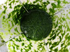 用一档打成菠菜泥