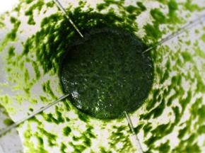 用一档打成菠菜泥