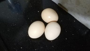 鸡蛋三个（可打成液体备用）