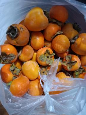 将柿子用水冲洗干净