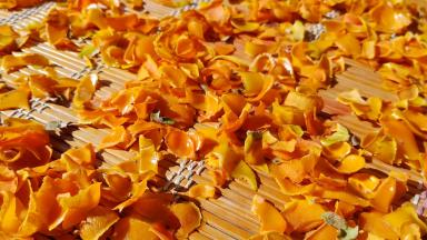 刨下的皮也不要扔掉，晾干