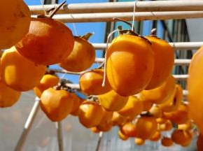 把刨皮后的柿子用绳子一颗一颗拴起来，挂到架子上，让慢慢晒干，也可以不用挂，直接放到通风的网子上