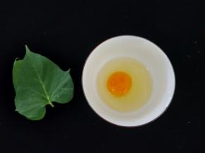 鸡蛋打散，红薯叶切碎。