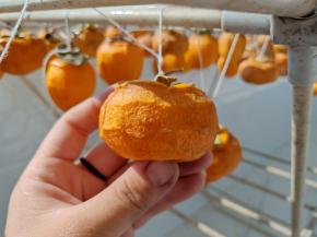 扁的这种就捏成扁的，注意捏的时候要把握住力道，不要把皮捏破了，后面还要再捏几次所以这一次捏一捏就可以，不需要一次捏成型