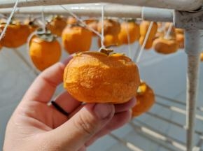 扁的这种就捏成扁的，注意捏的时候要把握住力道，不要把皮捏破了，后面还要再捏几次所以这一次捏一捏就可以，不需要一次捏成型