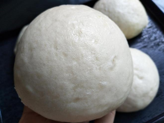 白胖馒头~一次发酵