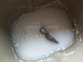 加入酵母和细砂糖