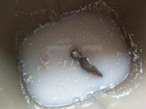 加入酵母和细砂糖