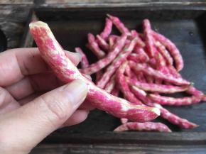 将每根黄金勾豆角的两端老筋掰下去备用。