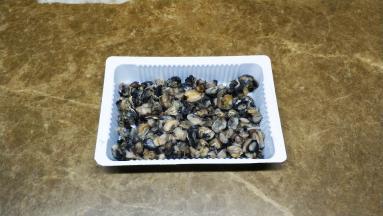 田螺挑出，清洗螺肉，反复清洗两边洗去余沙