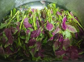 苋菜泡洗干净