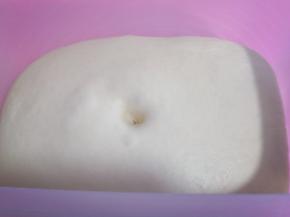 放入发酵盒中，盖上盖子发酵至原来的两倍大。温度在25-28度间进行发酵，一定要保持面团的湿度！