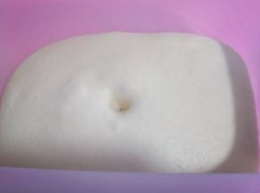 放入发酵盒中，盖上盖子发酵至原来的两倍大。温度在25-28度间进行发酵，一定要保持面团的湿度！