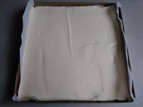 将蛋糕糊倒入铺了油纸的正方形烤盘里，刮平表面