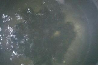 首先锅中倒水，水煮沸后放入洗净的板栗，煮8分钟左右