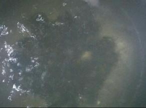 首先锅中倒水，水煮沸后放入洗净的板栗，煮8分钟左右