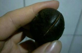 横切竖切根据自己喜欢