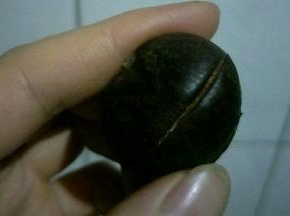 横切竖切根据自己喜欢