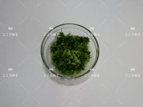 茴香洗净切碎