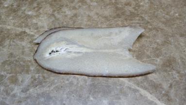 响螺片泡软剪块