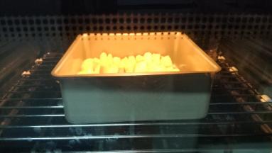 放烤箱进行二发