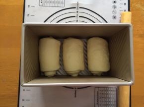 放入模具中