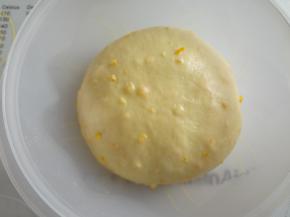 整理好后放入碗中盖上盖子开始一发，室温一发26度时间看状态