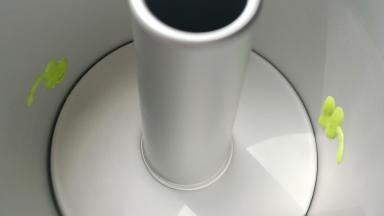 烤箱150度预热10分钟。用裱花袋取一点菠菜糊，在中空模具的侧面画上一个四叶草。然后放入烤箱烤1分钟取出来。