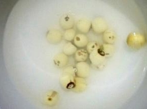 将莲子洗净，冷水浸泡一晚上备用