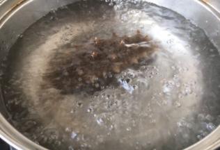 煮粥期间，将海参焯水，捞出备用。