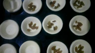 把挞皮摆在烤盘中。每个之间留出一定的距离。将葡萄干洗净，分别放入挞皮中。家里有爱吃原味的，所以有几个没有放葡萄干