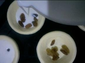 将挞液倒入挞皮中，约9分满