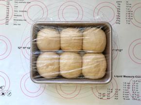 13、发酵完成。