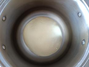 2.将中种材料混合揉成团就可以，无需揉出膜，放温暖处进行发酵 
