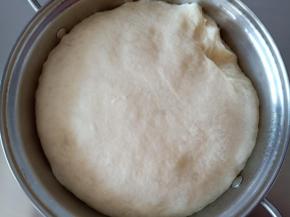 3.发酵至3~4倍大小
