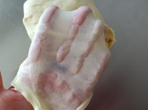 6.揉至可以拉出薄而韧的手套膜，室温静置30分钟左右
