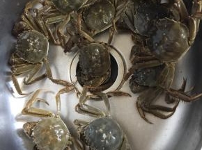 海鲜市场买回来的活蹦乱跳的新鲜的大闸蟹。（记得一定要买新鲜的活的大闸蟹哦！）