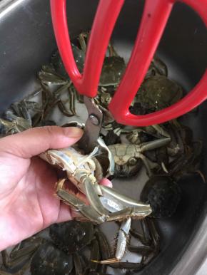 用剪刀插进蟹壳里，轻轻向上一掰，蟹壳就可以轻松的揭下来啦！