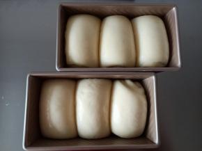 15.发酵至8.9分满
