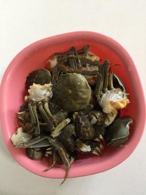 依次把所有的大闸蟹都处理好了后，清洗干净备用。