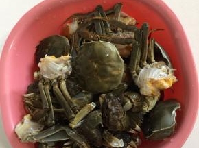 依次把所有的大闸蟹都处理好了后，清洗干净备用。