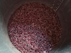 紫米用清水淘洗干净，加适量水放入电高压锅中开启煮饭模式。