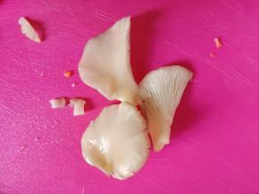 平菇洗净撕碎。